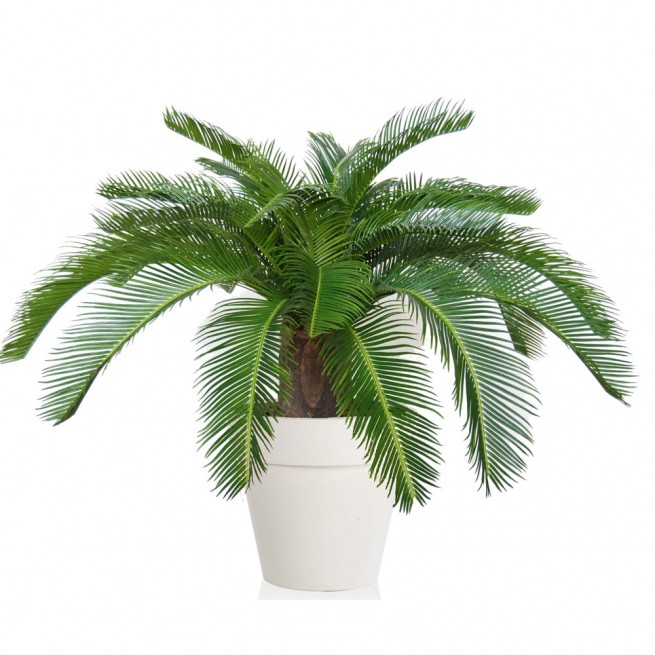 Planta semi-artificiala Ila, Cycas Country Green - 80 cm